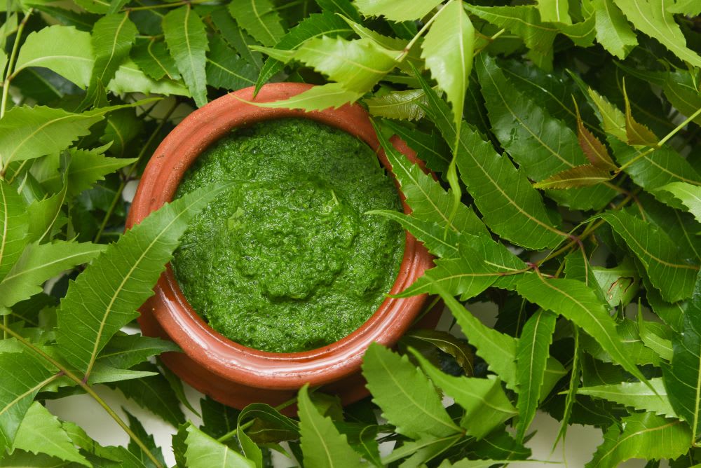 Skincare During Humid Conditions